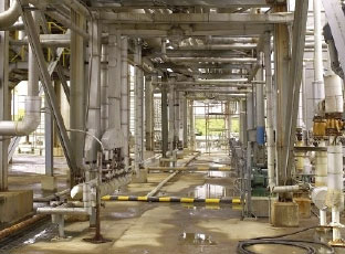 Classification of architectural latex p