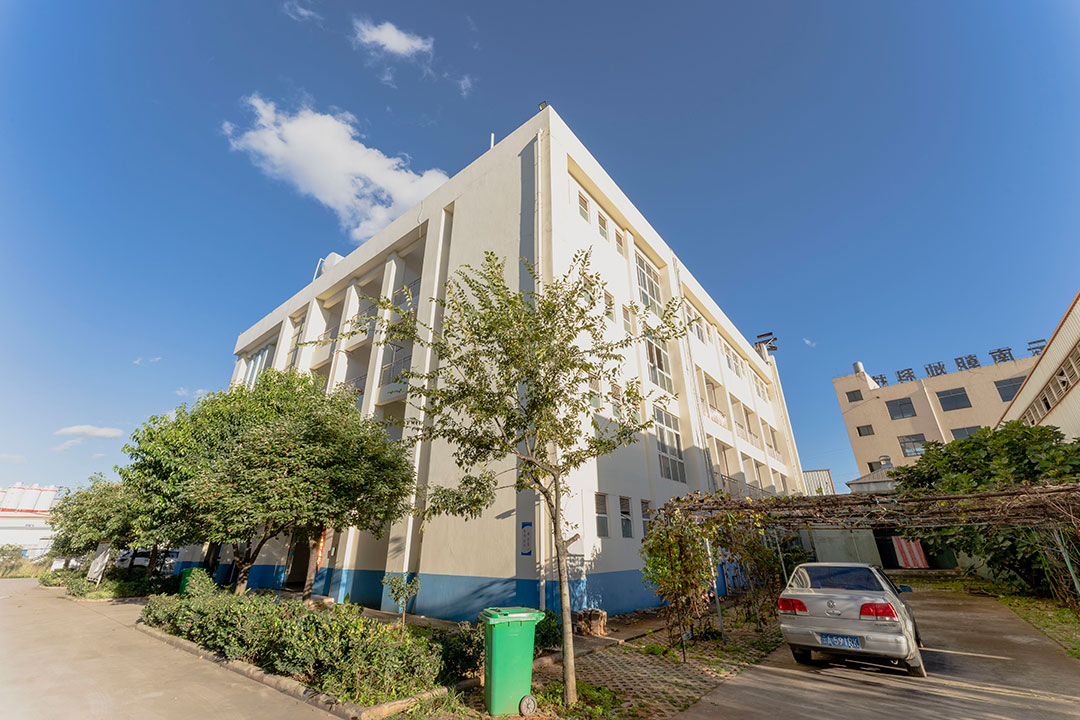 The real scene of the company